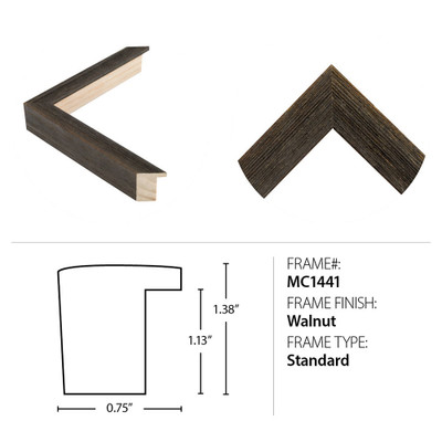 Wendover Decorated Succulent 5