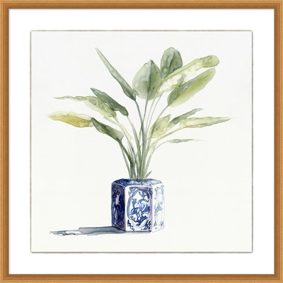 Wendover Square Ginger Urn Plant 2