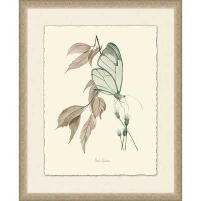 Wendover Nature Study 2