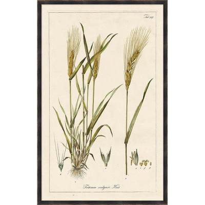 Wendover Harvest Wheat 3