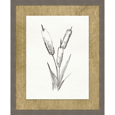 Wendover Cattails Sketch 5