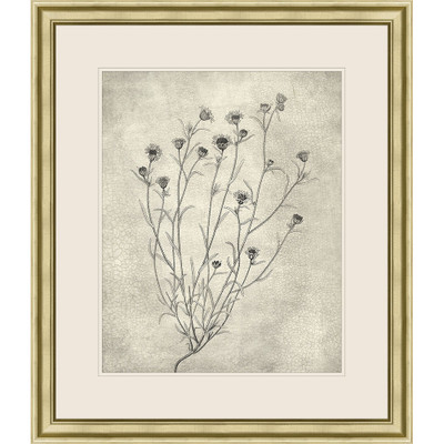 Wendover Etched Wildflowers 4