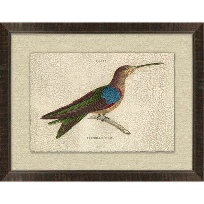 Wendover Crackled Trochilus 4