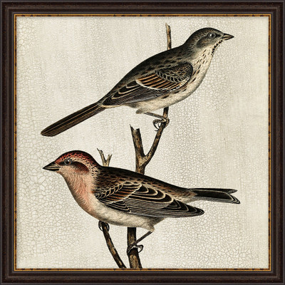 Wendover Natural Preserve Bird 3