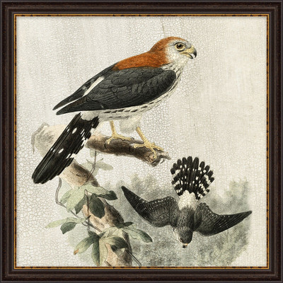 Wendover Natural Preserve Bird 1