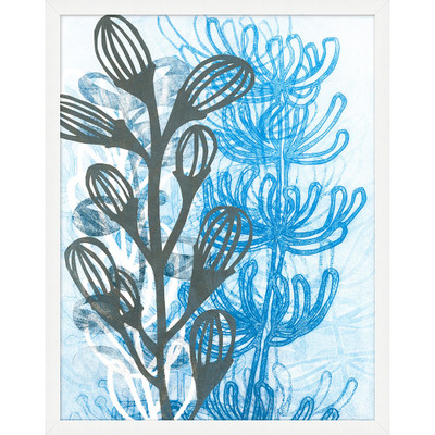 Wendover Kelp 2