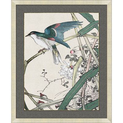 Wendover Eden Birds 6