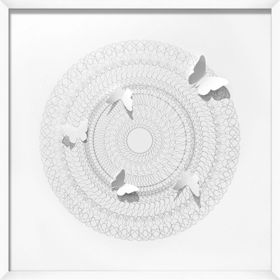 Wendover Butterfly Flutter