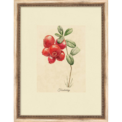 Wendover Floral Study 3 - WNT1541