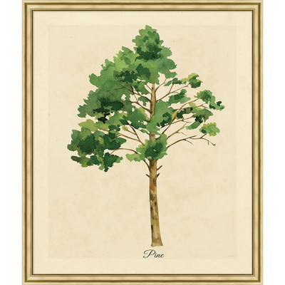 Wendover Herbacious Study 3