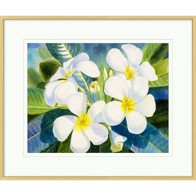 Wendover Tropical Blooms 1 - WFL1439