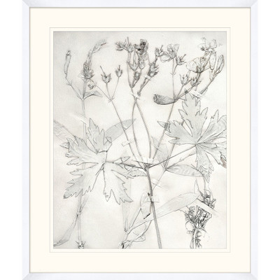 Wendover Painted Pressed Floral 2