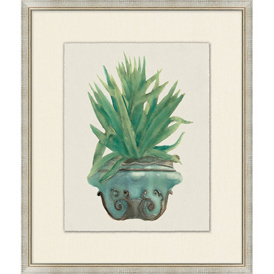 Wendover Aloe Pot 6