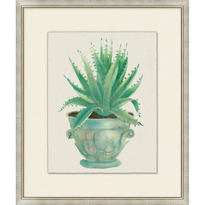 Wendover Aloe Pot 1