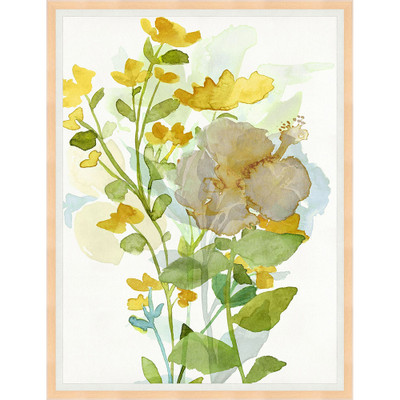 Wendover Wild Flowers 2