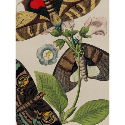 Wendover Butterfly Motif 2