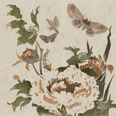 Wendover Natures Bounty 3