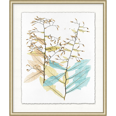 Wendover Tinted Plant Composition 4