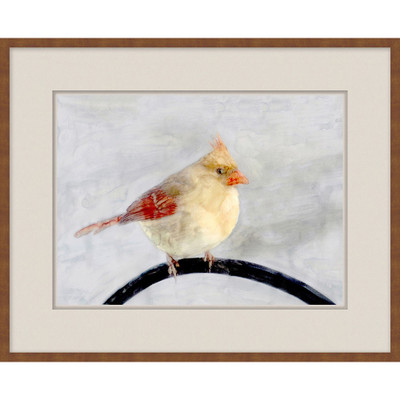 Wendover Back Country Bird Study 6