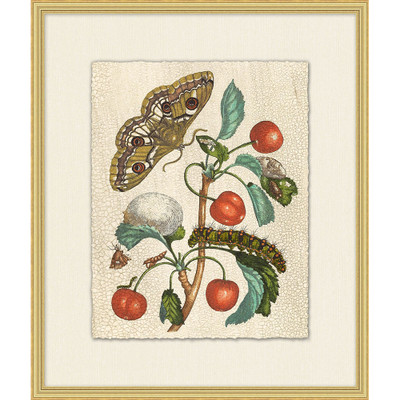 Wendover Prevailing Nature 4