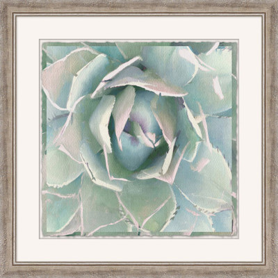 Wendover Agave Watercolor Study 1