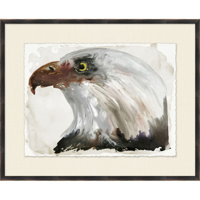 Wendover Bald Eagle 2