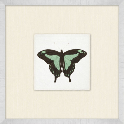 Wendover Miniature Butterfly Collection 15
