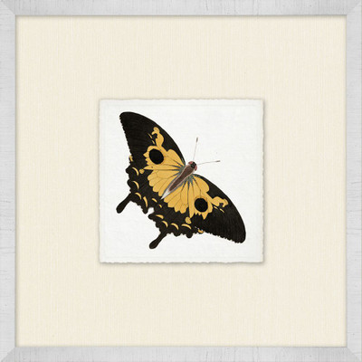 Wendover Miniature Butterfly Collection 8