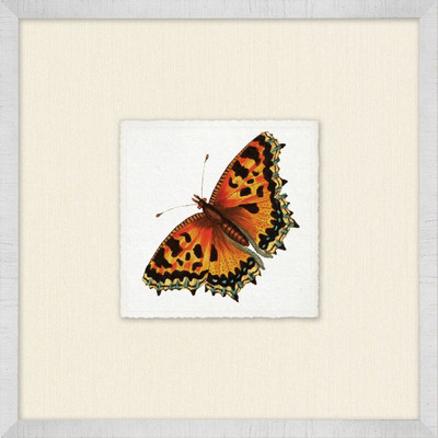 Wendover Miniature Butterfly Collection 4