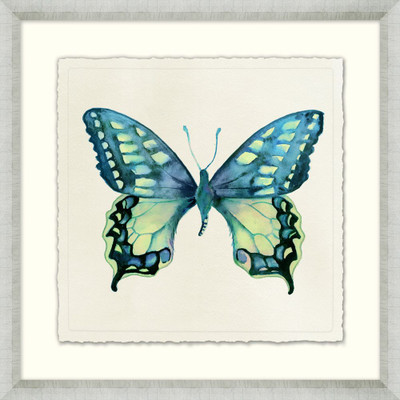 Wendover Watercolor Butterfly 16