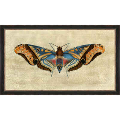 Wendover Crackled Moth 3