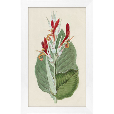 Wendover Tropical Flower 5