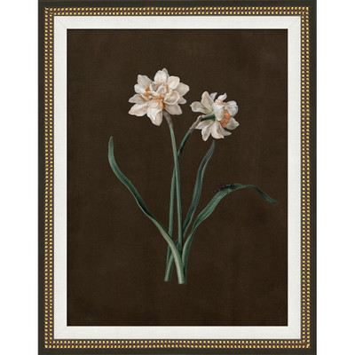 Wendover Sepia Sprouts 3