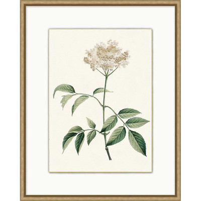 Wendover Delicate Blooms 1