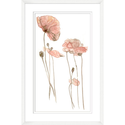 Wendover Poppy Stems 1