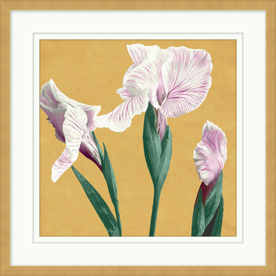 Wendover Vibrant Flowers 3
