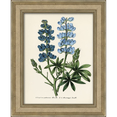 Wendover Blue Botanical III