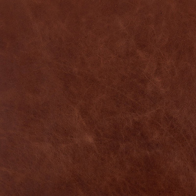 Amber Lewis x Four Hands Dining Seat Cushion For Amber Lewis - 19.5" - Dulane Mahogany