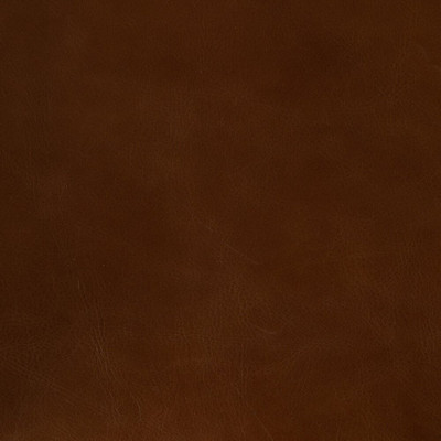 Four Hands Dane Chair - Sonoma Chestnut