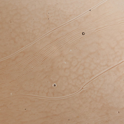 Four Hands Yoko Nesting Set Of 3