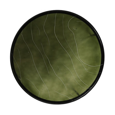 Four Hands Yoko Nesting Table - Large - Moss Cast Glass