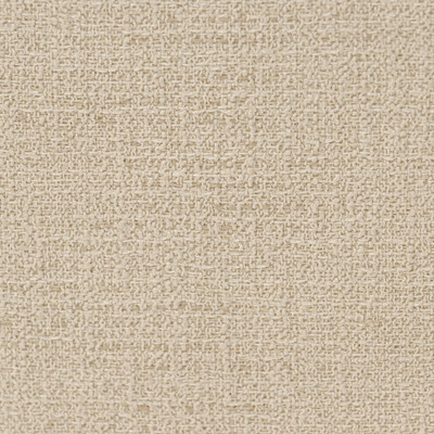 Four Hands Iris Trunk - Hampton Cream