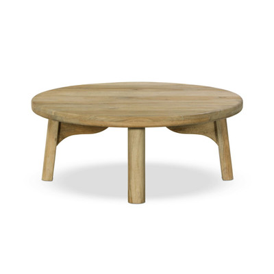 Four Hands Daley Coffee Table - Light Natural Mango