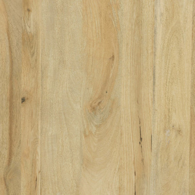 Four Hands Daley Coffee Table - Light Natural Mango
