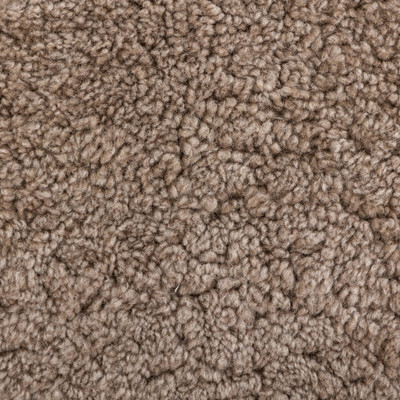 Four Hands Toby Pillow - Taupe Shearling - 14"x20" - Cover +Insert