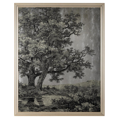 John Richard Grand Oaks Silver II