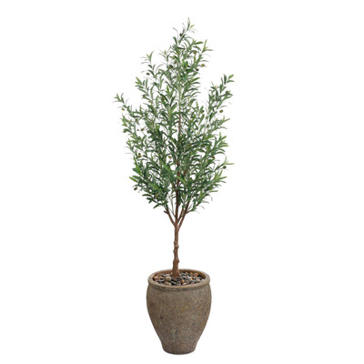 John Richard Italian Olive