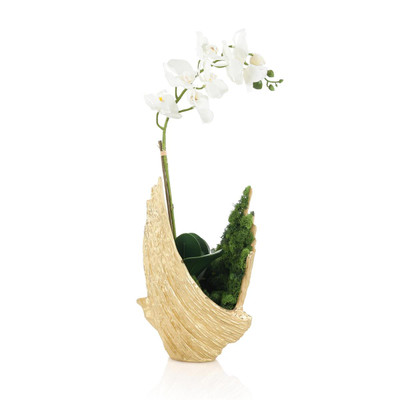 John Richard Organic Mossy Orchid