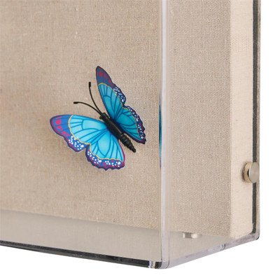 John Richard Tony Fey's Flight of the Butterflies