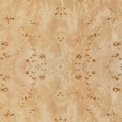 Worlds Away Carnegie Chest - Burl Wood